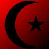 Symbol of Islam.jpg (179614 bytes)